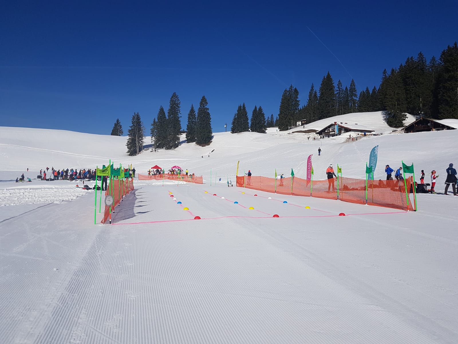 ABSAGE ! 62. Meiche-Schier-Gedächtnislauf Auf Grund Der Durch Corona Ausgelösten Aktuellen Situation